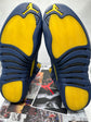 Jordan 12 Michigan