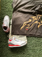 Jordan 3 Fire Red Sneak 